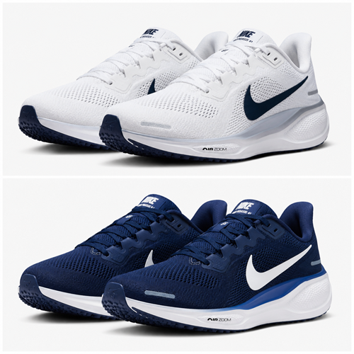 Nike Air Zoom Pegasus 41